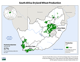 images\SF\seasonalmap\SouthAfrica_Dryland_Wheat_preview.png